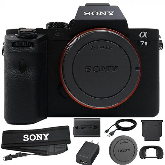 Sony Alpha a7S III Mirrorless Camera (Body Only)