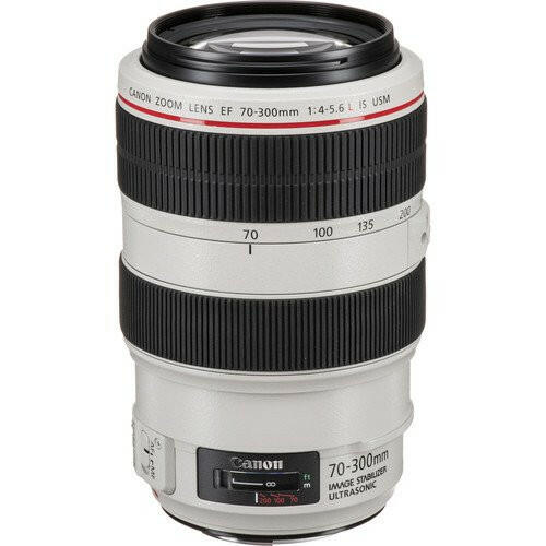 Canon EF 70-300mm f/4-5.6L IS USM Lens